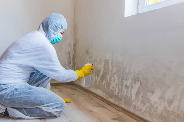Licensed Mold Testing service in Franklin, MI - WQB Mold Removal