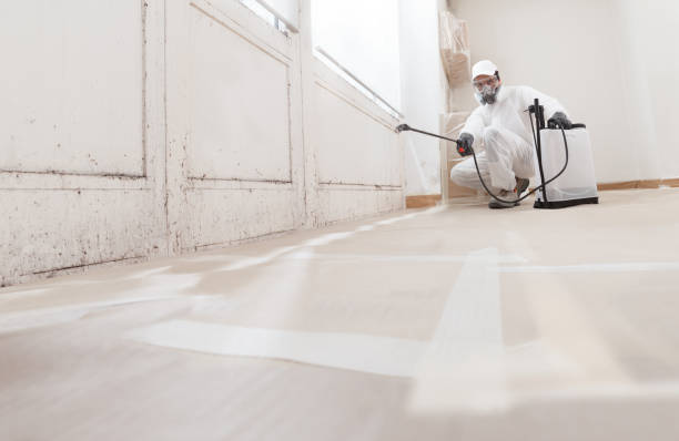 24/7 Emergency Mold Testing experts in Franklin, MI