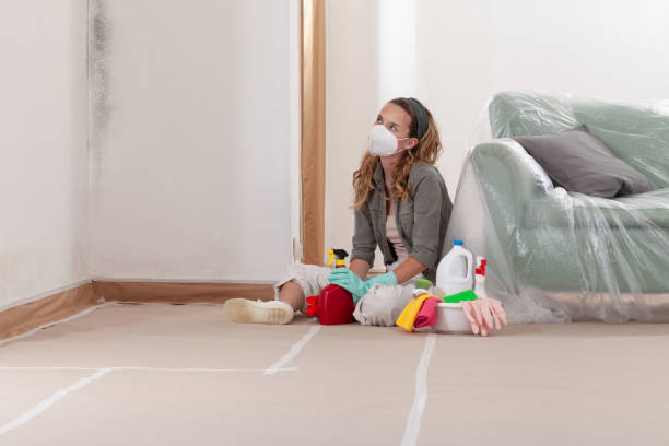 Reliable Mold Testing contractor in Franklin, MI by WQB Mold Removal