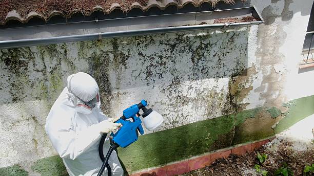 Top rated local Mold Testing specialists in Franklin, MI